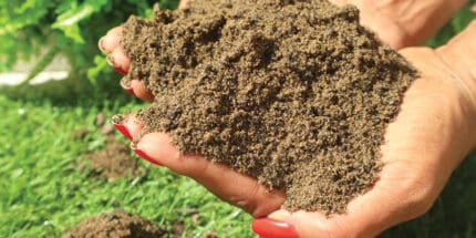 MCM Bioretention Soil Product